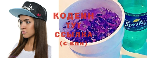 молекула духа Бронницы