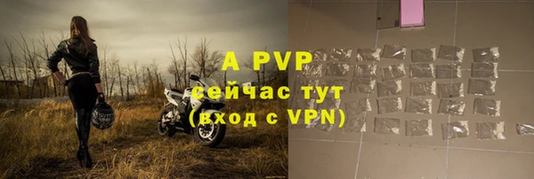 хмурый Бородино