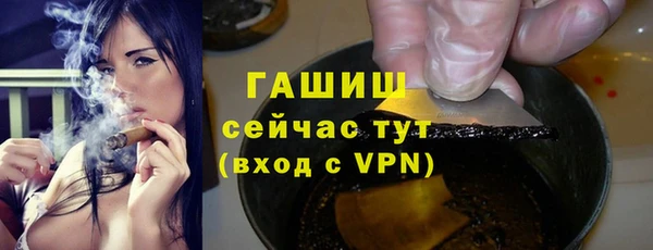 хмурый Бородино