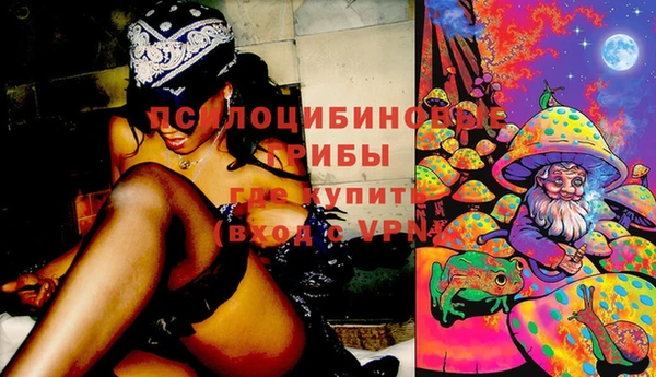 молекула духа Бронницы