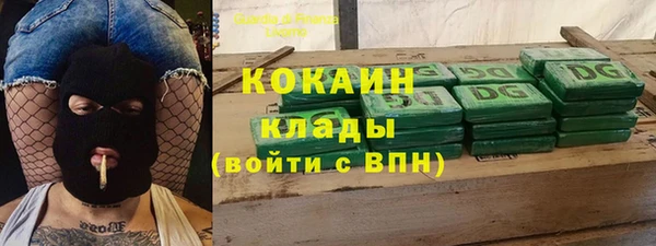 хмурый Бородино