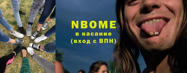 хмурый Бородино