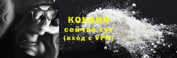 хмурый Бородино