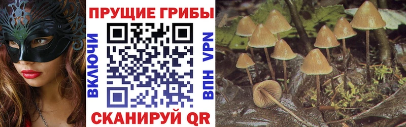 МЕГА tor даркнет сайт Рузаевка Галлюциногенные грибы мицелий